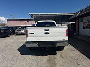 Ford F150 Fx4 - Thumbnail 3