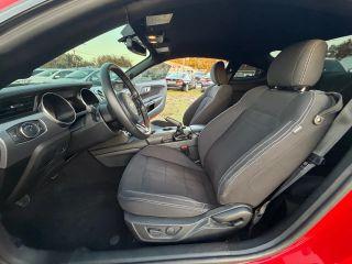 Ford Mustang - Thumbnail 2