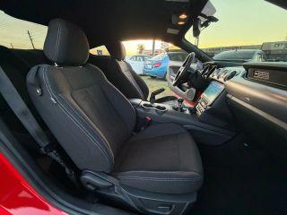 Ford Mustang - Thumbnail 4