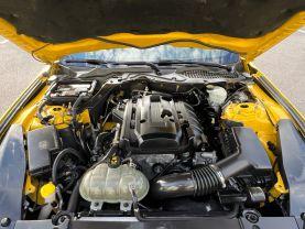 Ford Mustang - Thumbnail 12