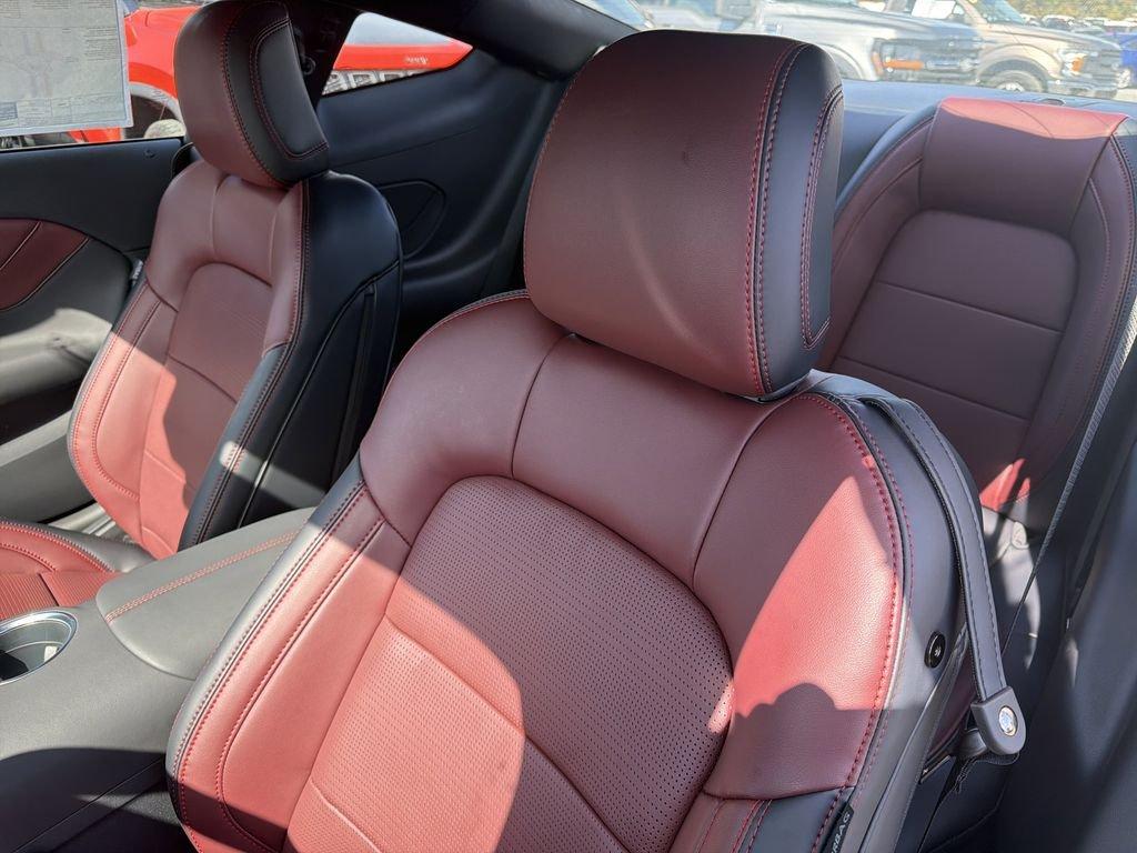 Ford Mustang Ecoboost® Premium Fastback - Thumbnail 13