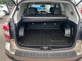 Subaru Forester - Thumbnail 2