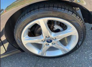 Ford Focus - Thumbnail 5