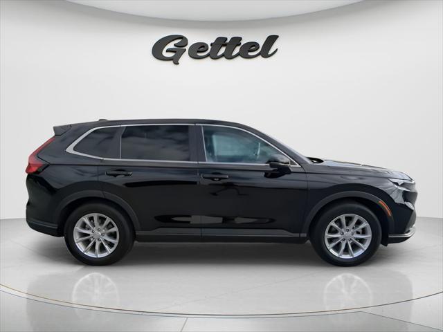 Honda Cr-V Ex-L 2Wd - Thumbnail 9