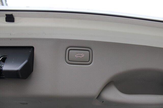 Kia Sedona - Thumbnail 10