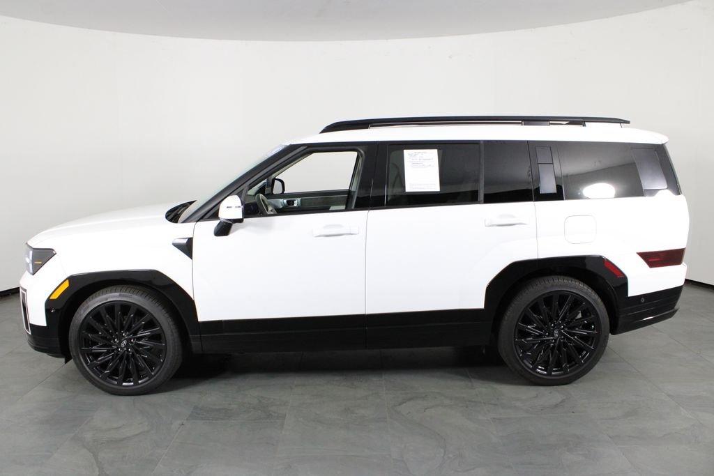 Hyundai Santa Fe Calligraphy - Thumbnail 12