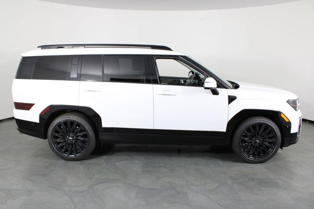 Hyundai Santa Fe Calligraphy - Thumbnail 15