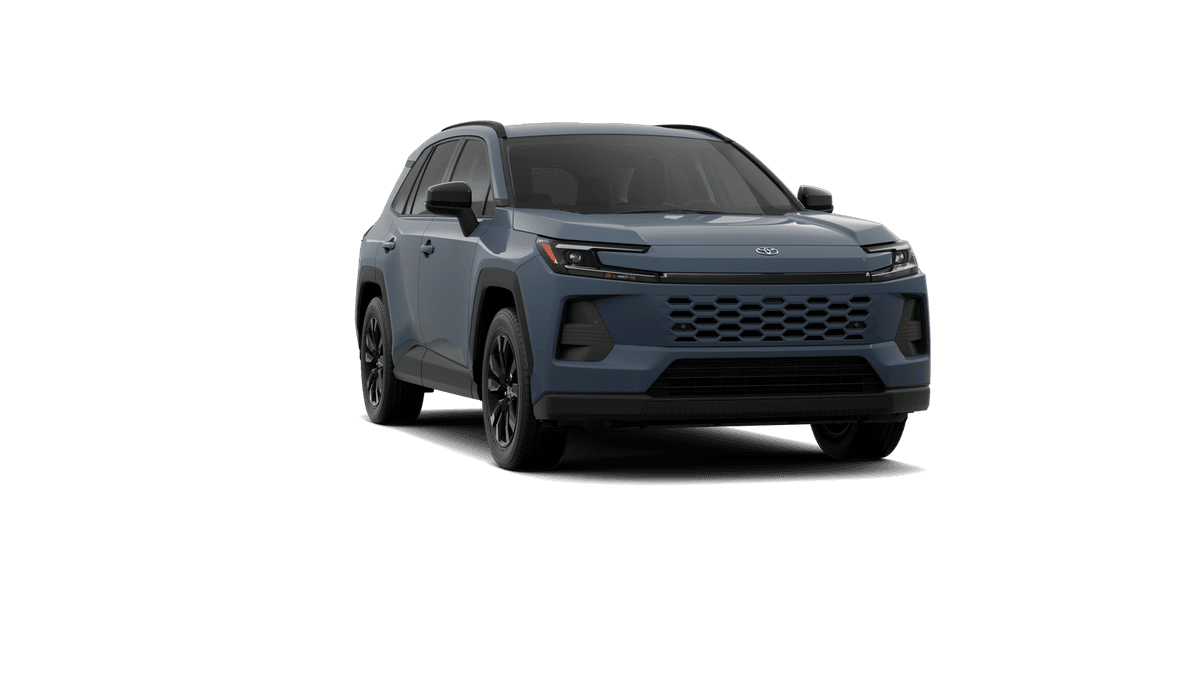 Toyota Rav4 Xle Premium - Thumbnail 11