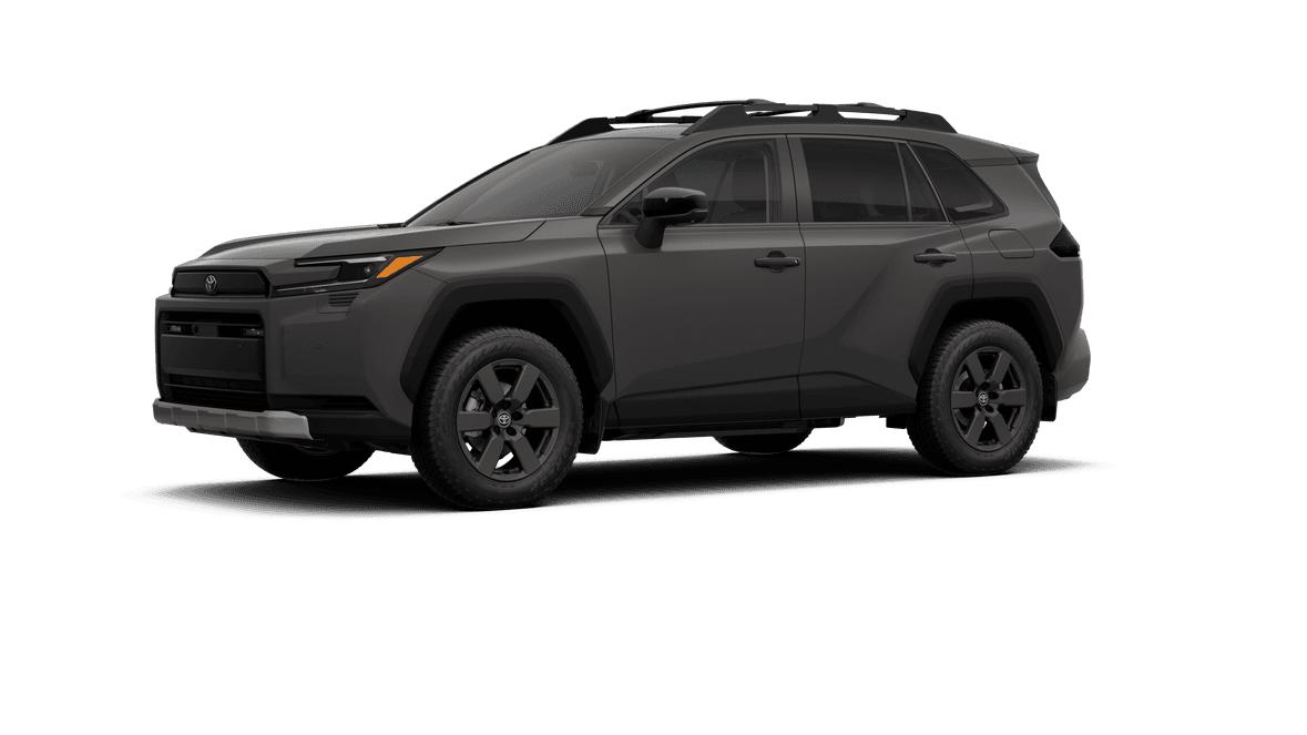 Toyota Rav4 Woodland - Thumbnail 2