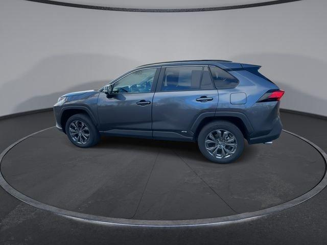 Toyota Rav4 Hybrid Xle Premium Awd - Thumbnail 10