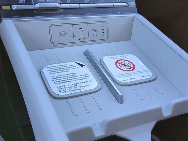 Hyundai Santa Fe Sel Fwd Fwd 4D Sport Utility - Thumbnail 20