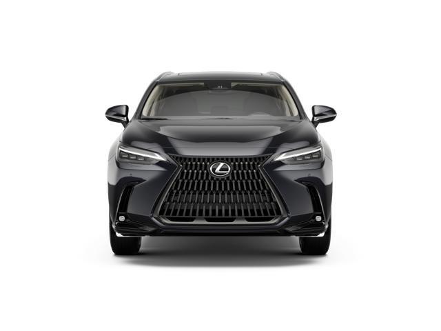 Lexus Nx Luxury Awd - Thumbnail 11
