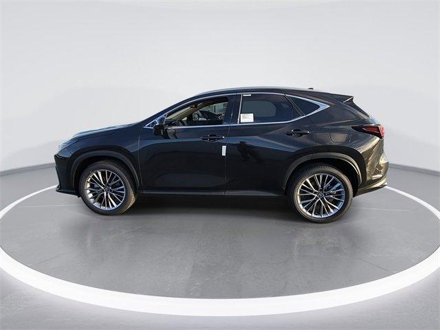 Lexus Nx Luxury Awd - Thumbnail 20
