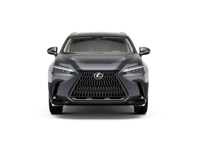 Lexus Nx Luxury Awd - Thumbnail 11