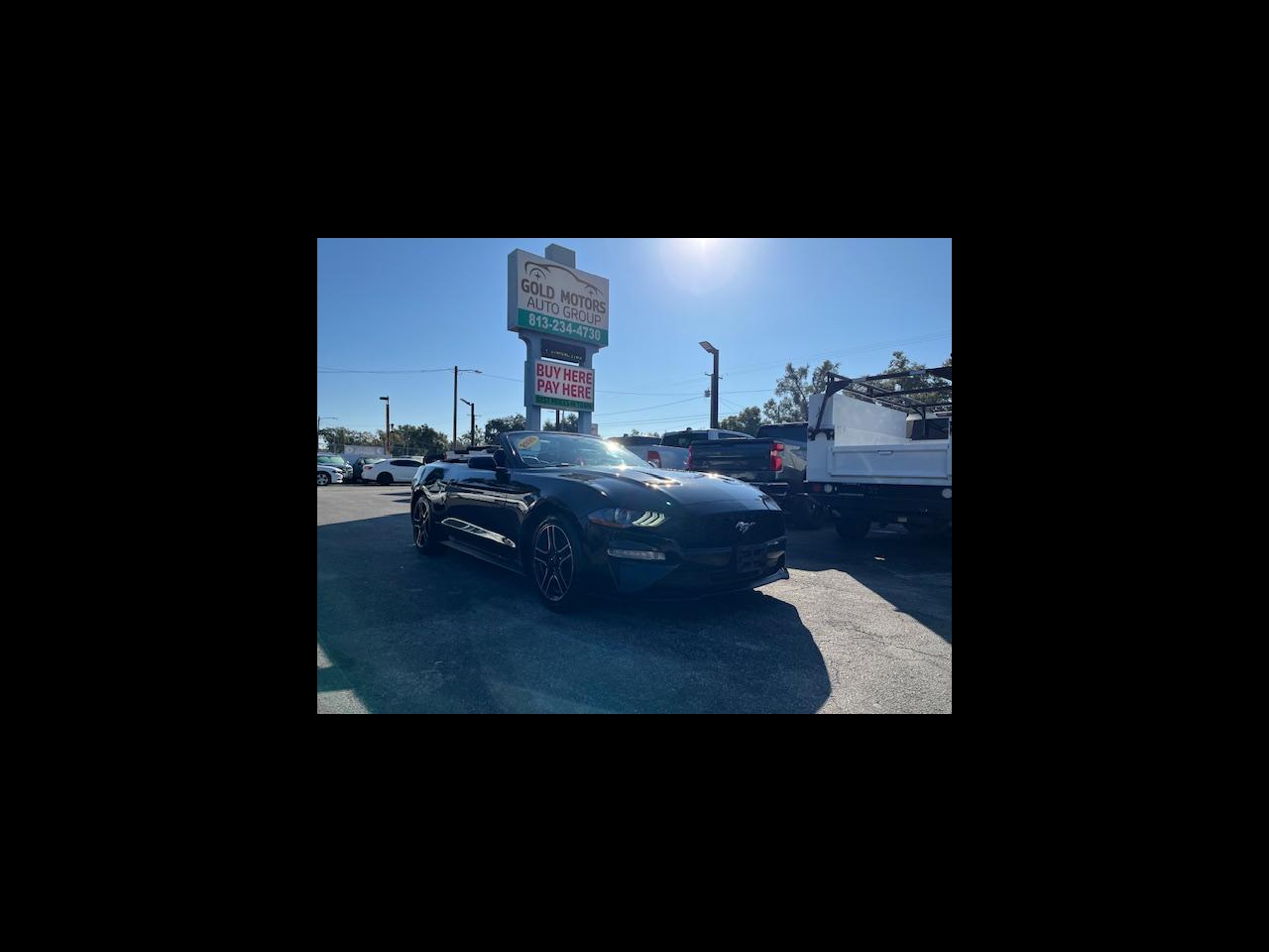 Ford Mustang - View 1