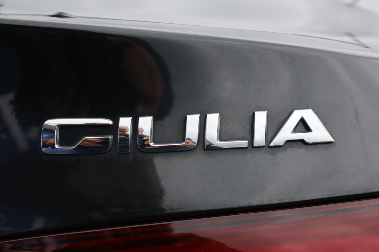 Alfa Romeo Giuliarwd - Thumbnail 8