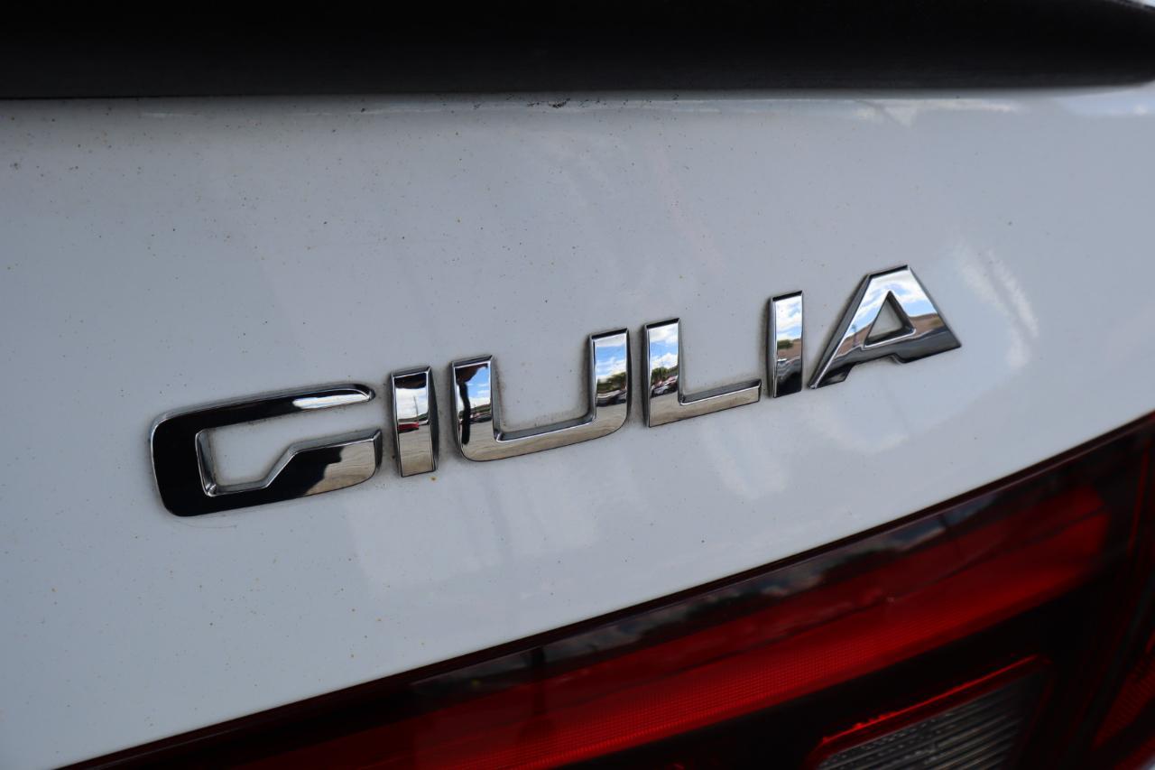 Alfa Romeo Giuliarwd - Thumbnail 13
