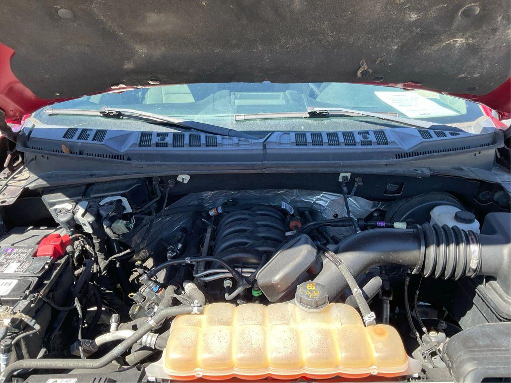 Ford F150 Supercrew Cab For Sale In Okeechobee, Fl | Outlet Auto Mall - Thumbnail 12