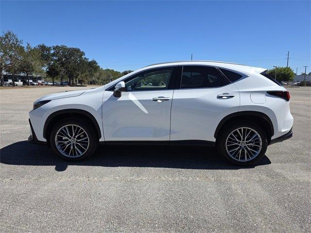 Lexus Nx 350 Luxury Awd - Thumbnail 10